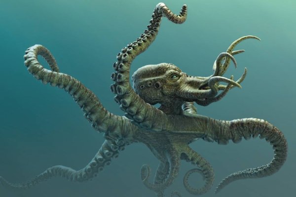 Kraken cc зеркало kr2web in