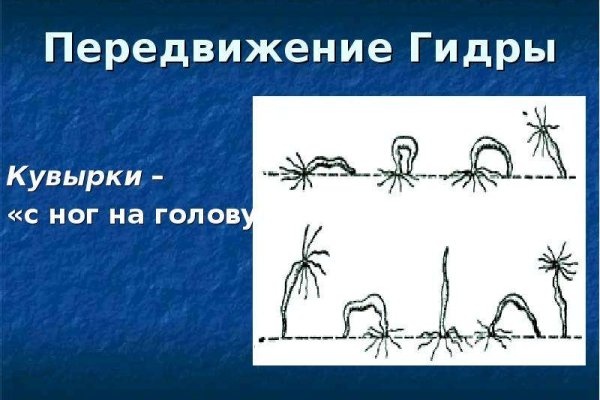 Kraken ссылка зеркало