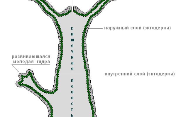 Кракен даркнет маркет ссылка на сайт тор